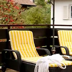 Behringer's Traube Hotel 3*