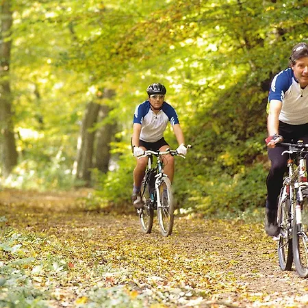 Hotel Behringer's Traube Badenweiler