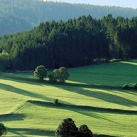 Behringer's Traube Badenweiler