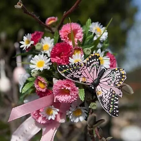 Behringer's Traube 3* Badenweiler