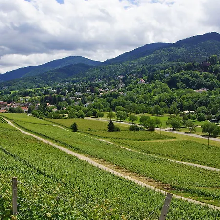 Behringer's Traube Hotel 3*