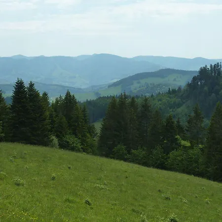 Behringer's Traube
