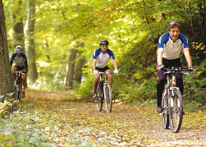 Hotel Behringer's Traube Badenweiler